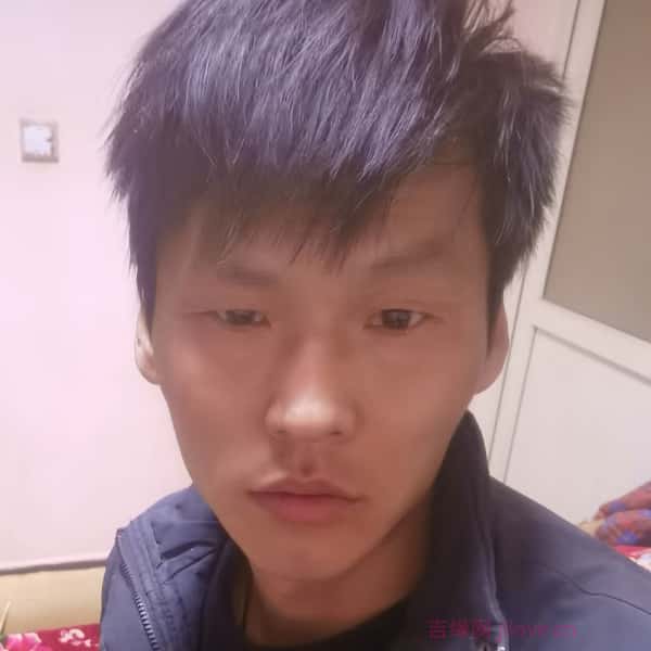上门入赘征婚网
